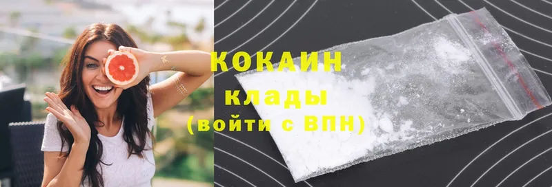 Cocaine FishScale  купить наркоту  сайты даркнета наркотические препараты  Выборг 